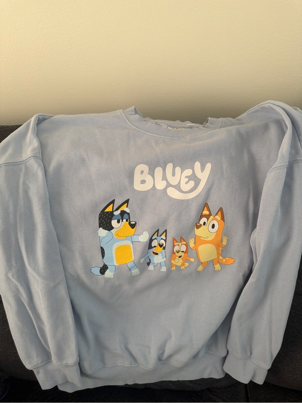 Light Blue BLUEY Sweatshirt women’s size L
